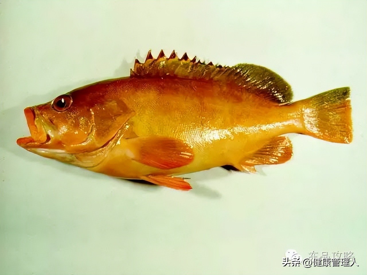 美容护肤食疗方案,美容护肤养生介绍