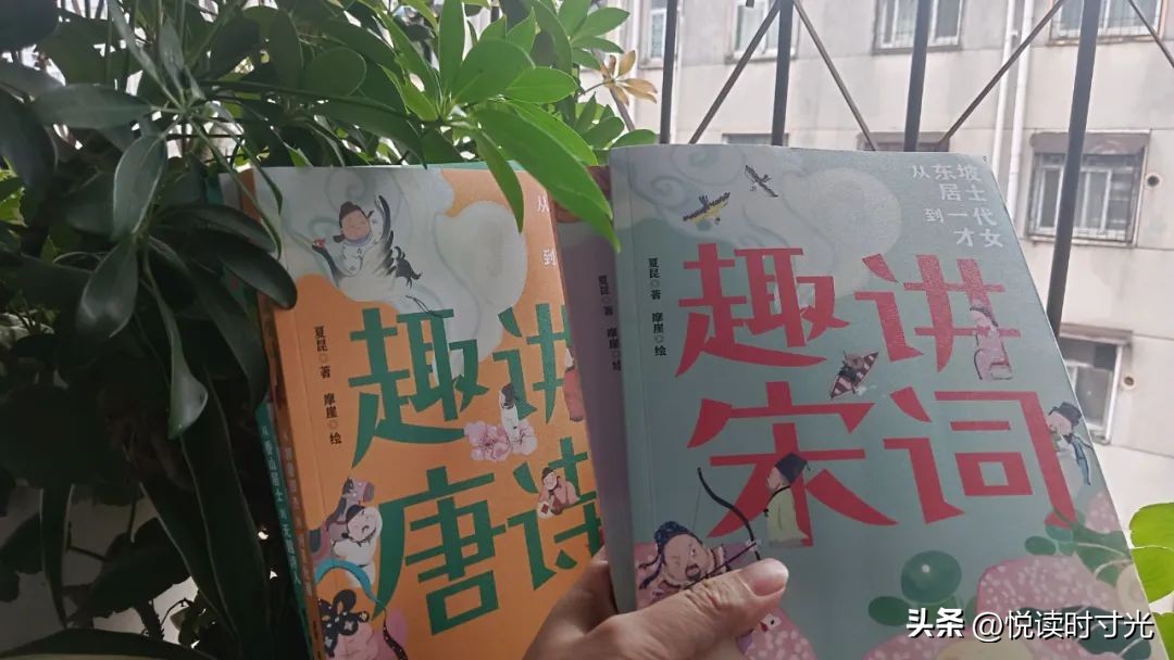 解读最美唐诗宋词,唐诗宋词经典推荐及阅读心得