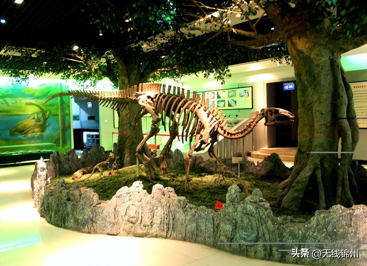 锦州免门票景区,锦州优惠饭店