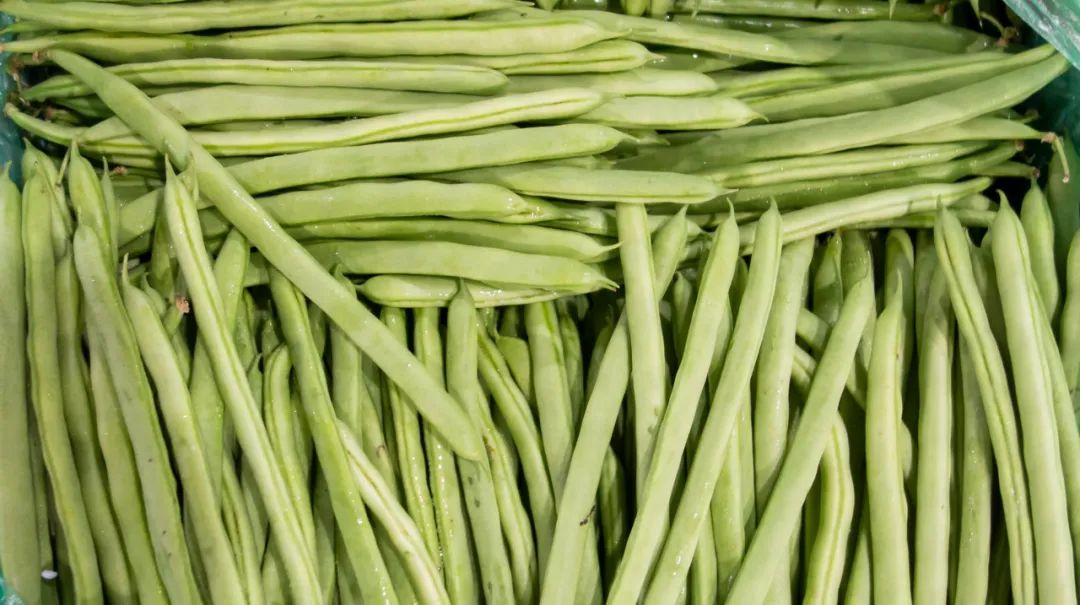 关于蔬菜这2种说法要纠正 (关于蔬菜的十大谣言)