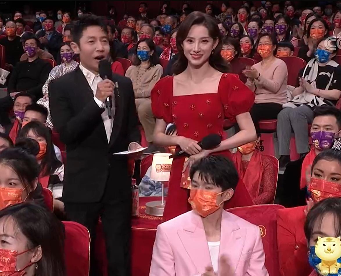 9位春晚主持人今昔对比,2017央视春晚五位主持人