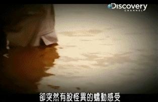 小到钻丁丁，大到吞活人，这片贝爷看了都怕