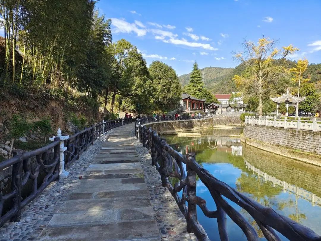 2020年杭州市最美绿道,杭州市滨江区沿河绿道