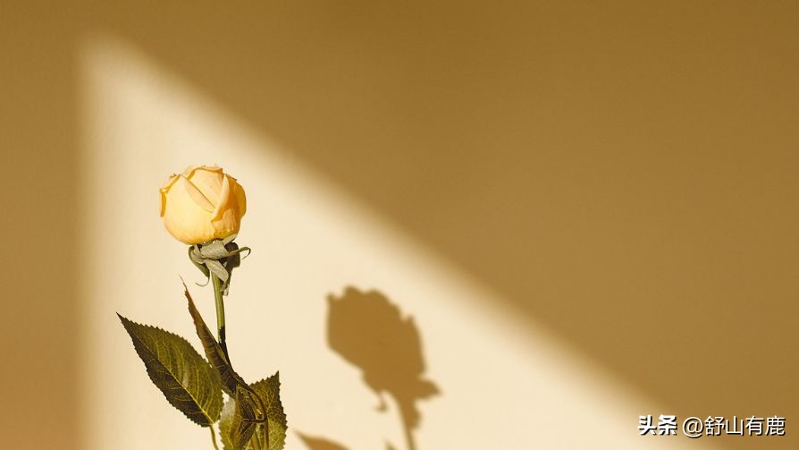 人生命运定吉凶,出生年月吉凶分析