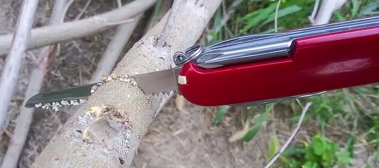 如何选择人生第一桶金,如何选择人生第一把剑