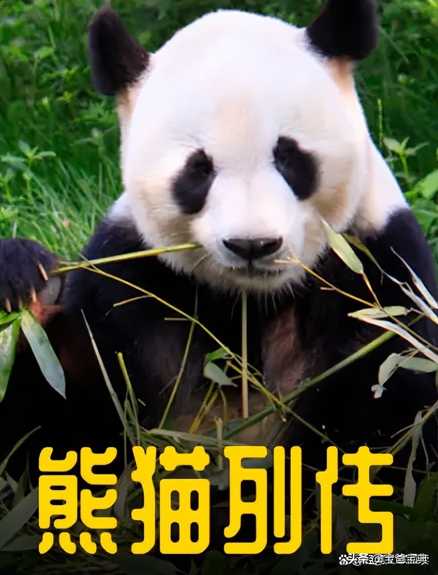 地理类十大高分纪录片,9部初中生必看的地理纪录片