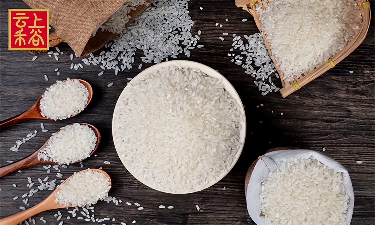 云上禾谷大米,云上禾谷在全国有多少家直营店