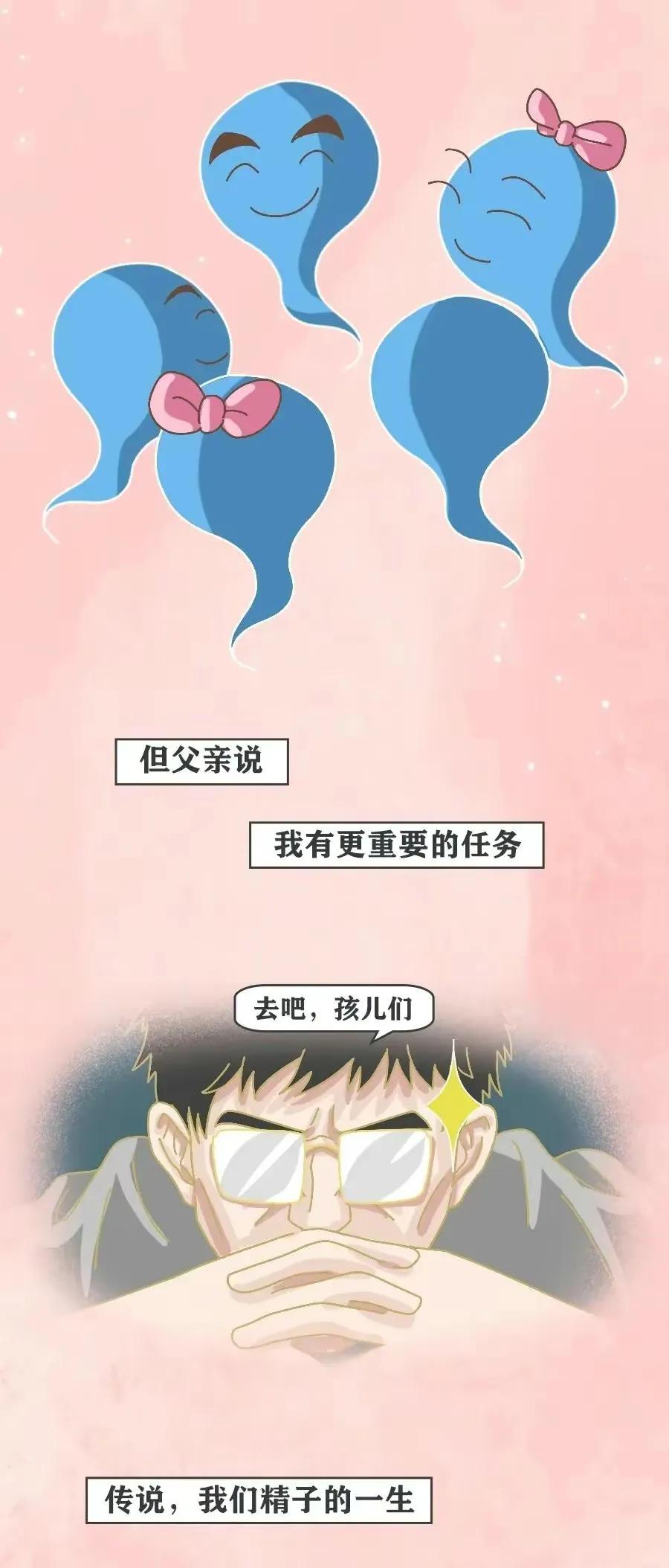 精子是怎么进入对方体内的，真是历经九九八十一难！