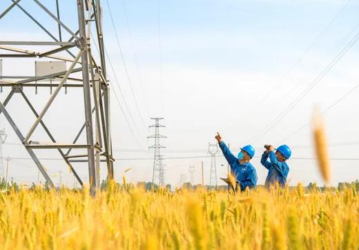 电力研究生晒工资单,研究生国家电网工资