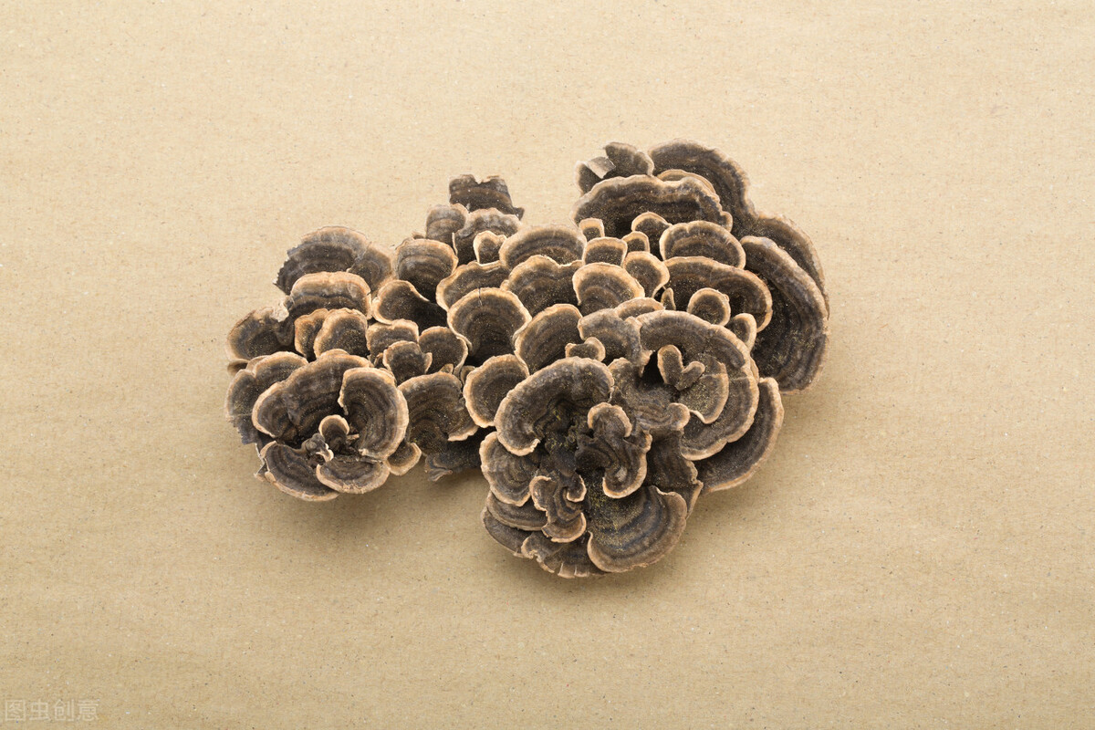 中医妇科带下病问诊模板,中医妇科带下病案例