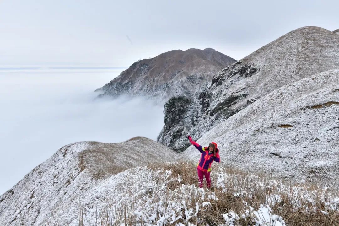 我赚不到钱咋办,我挣不到钱还能怎么办