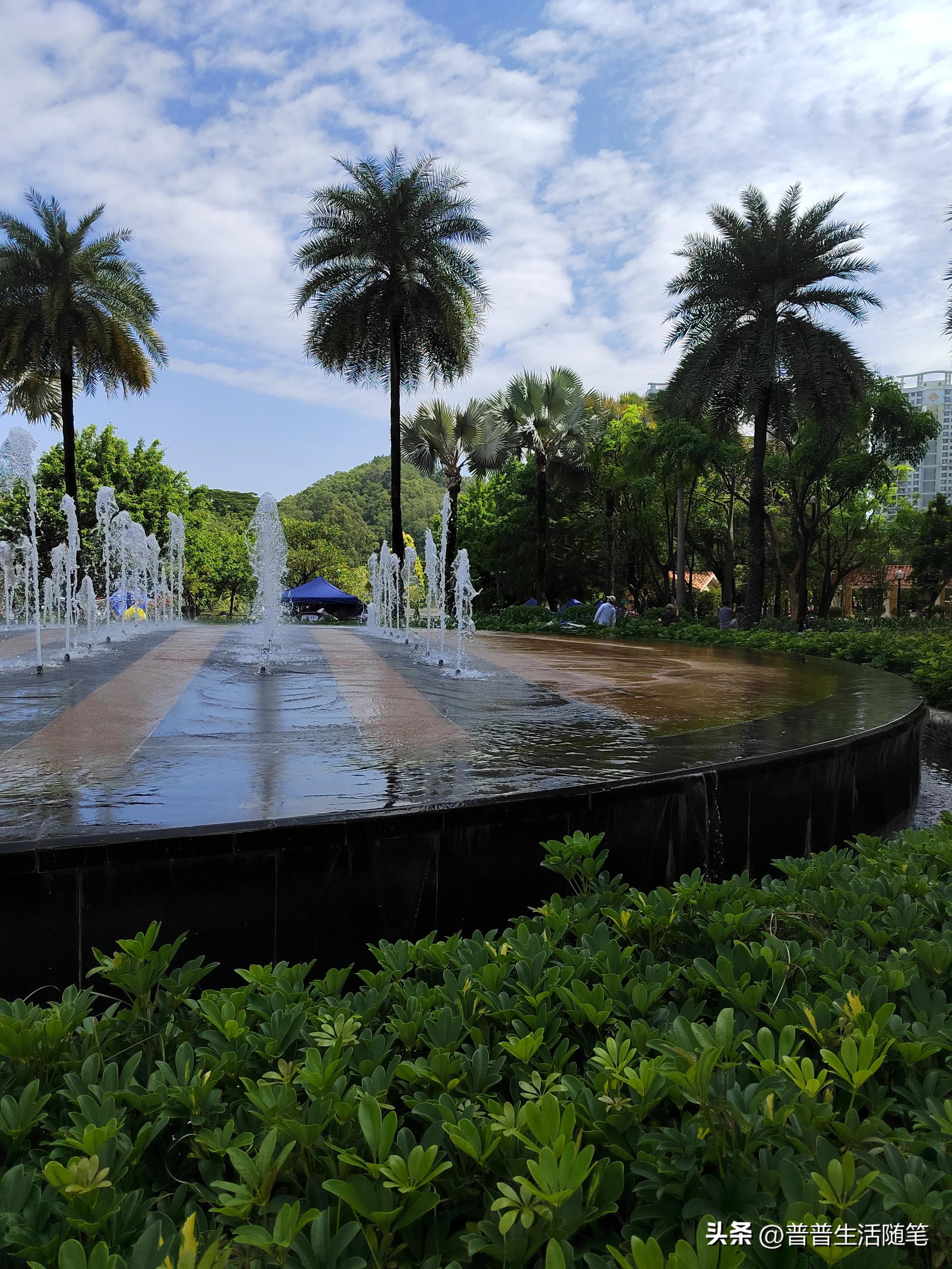 搬家公司同城搬家,搬家公司哪个平台靠谱便宜