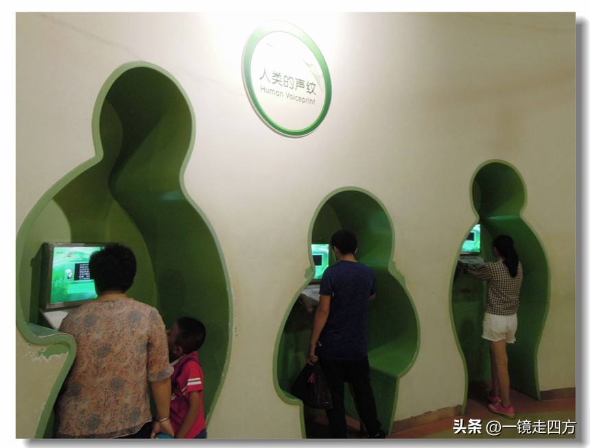 参观北京科技馆游记,参观北京科技馆的感想