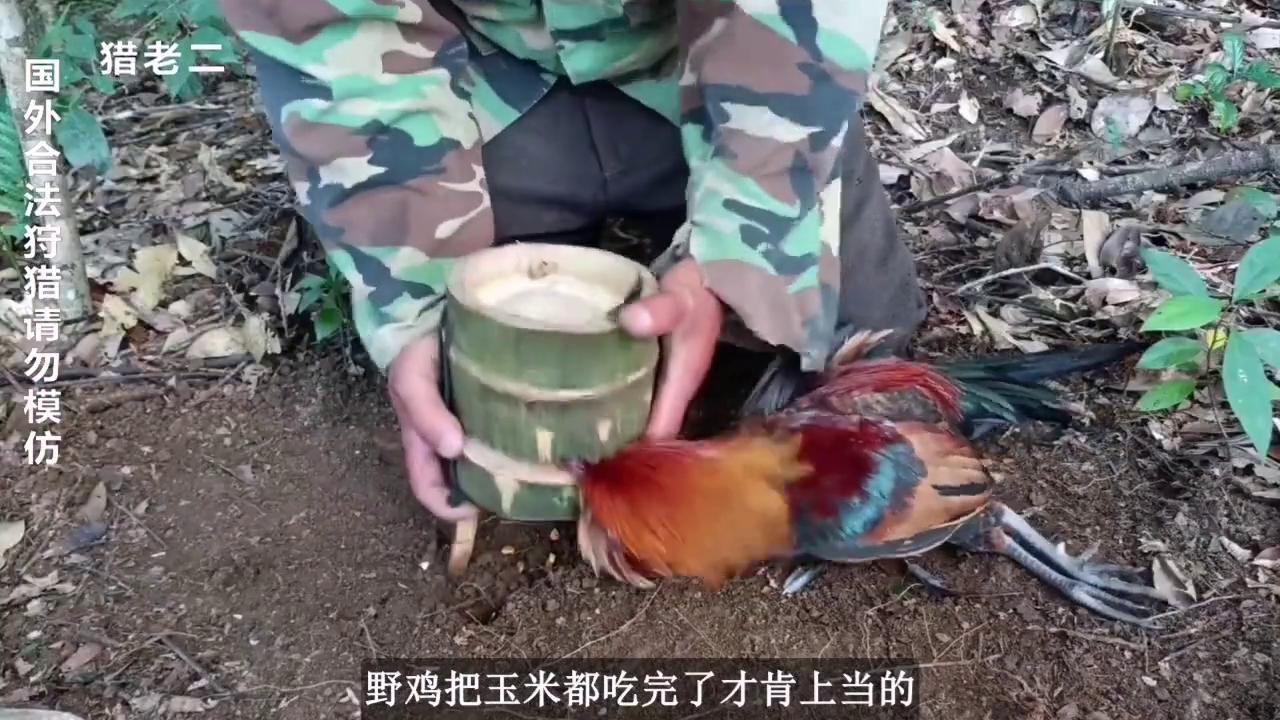 户外捕猎陷阱,老炮玩密室