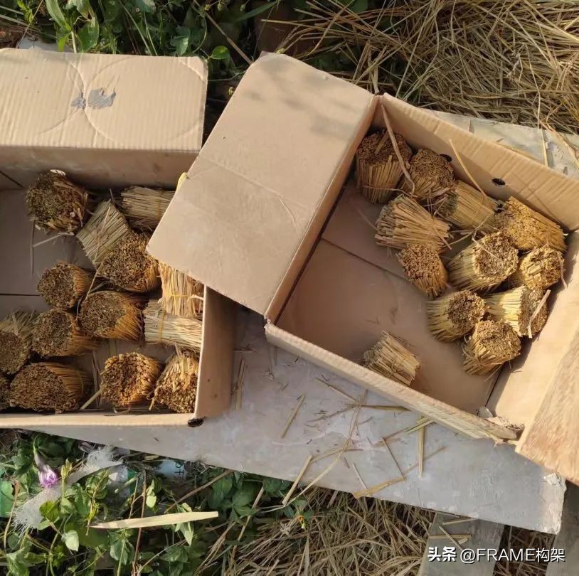 新一代简悦厨，永创设计打造“都市之中的天然稻场”