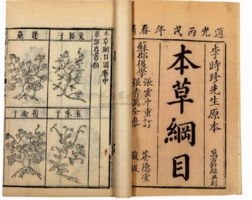 蛊是什么时候存在的,蛊到底是什么