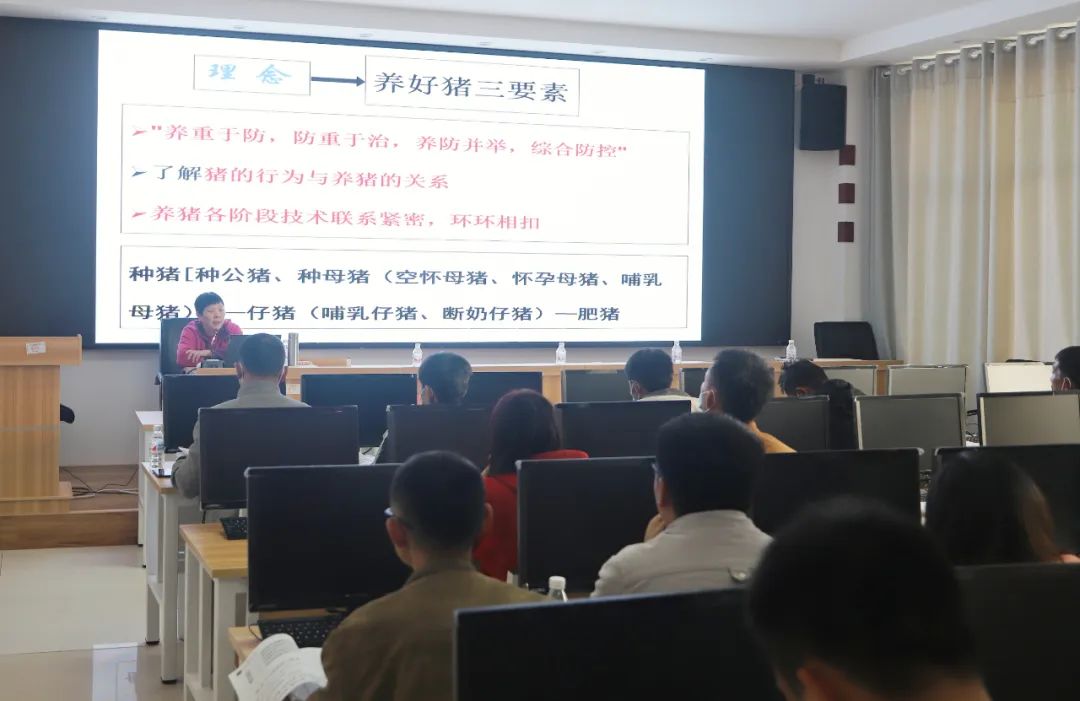 国际农业发展基金贷款优势,国际农业基金贷款项目