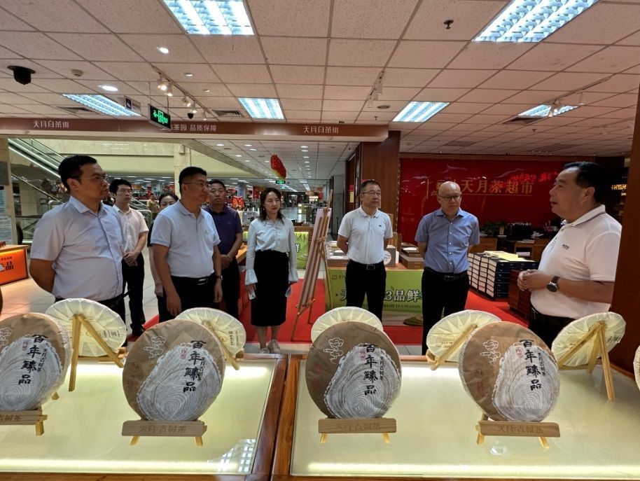 探访中国普洱茶第一村庄,走访茶叶