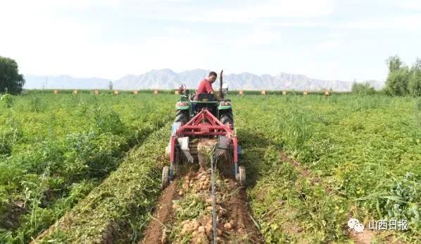 鍏ㄧ渷鍔犲伐鍨嬮┈閾冭柉,鍦熻眴闈╁懡鍔╁姏涓版敹涓颁骇