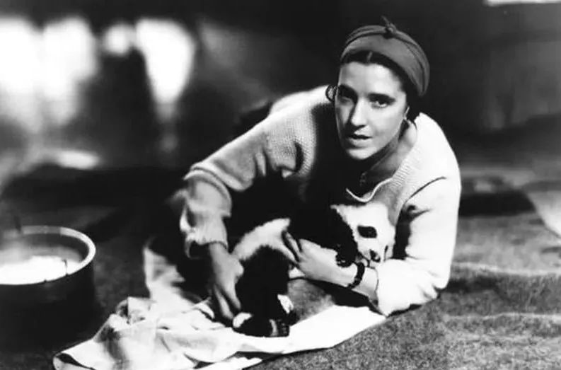 现在有多少人在关注丫丫,持续关注丫丫