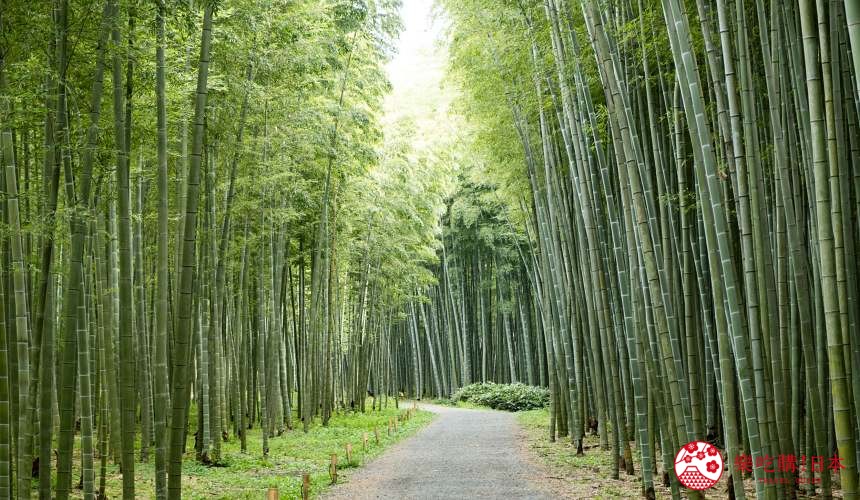 栃木必游景点,栃木县旅游