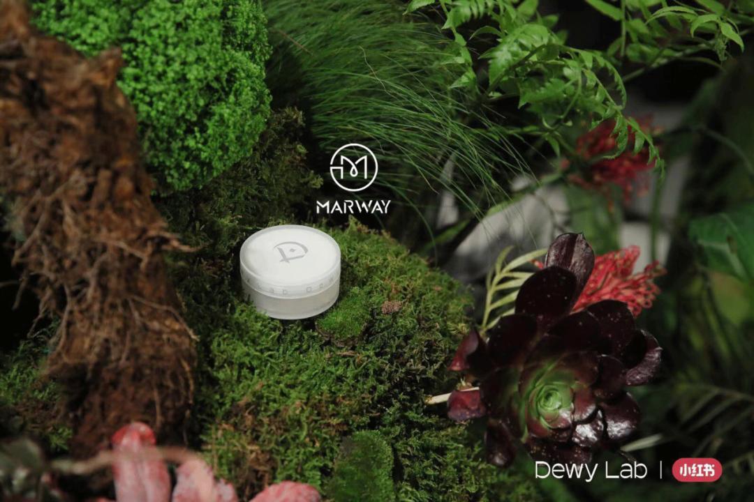 小红书怎么卖美妆产品,小红书自己推起的美妆品牌