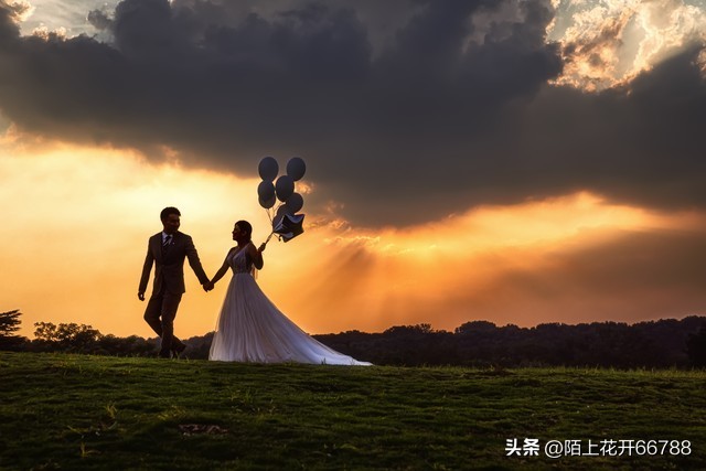 71年的猪福气满满,71年的猪一生是多灾多难吗