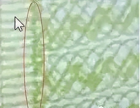 80版旧50元最新价格,80年代50元相当于现在多少钱