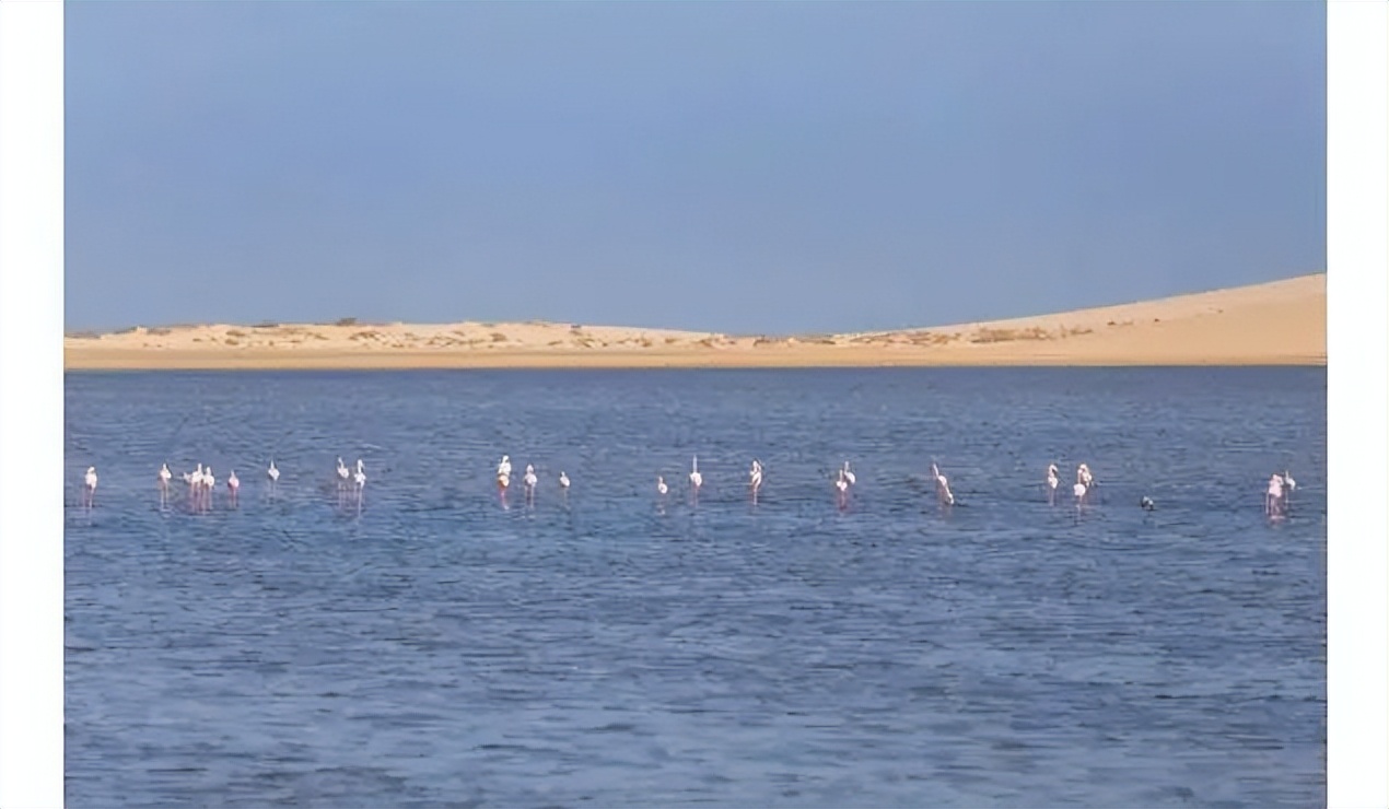 卡塔尔是一个怎样的国家英文,卡塔尔世界杯有哪些国家