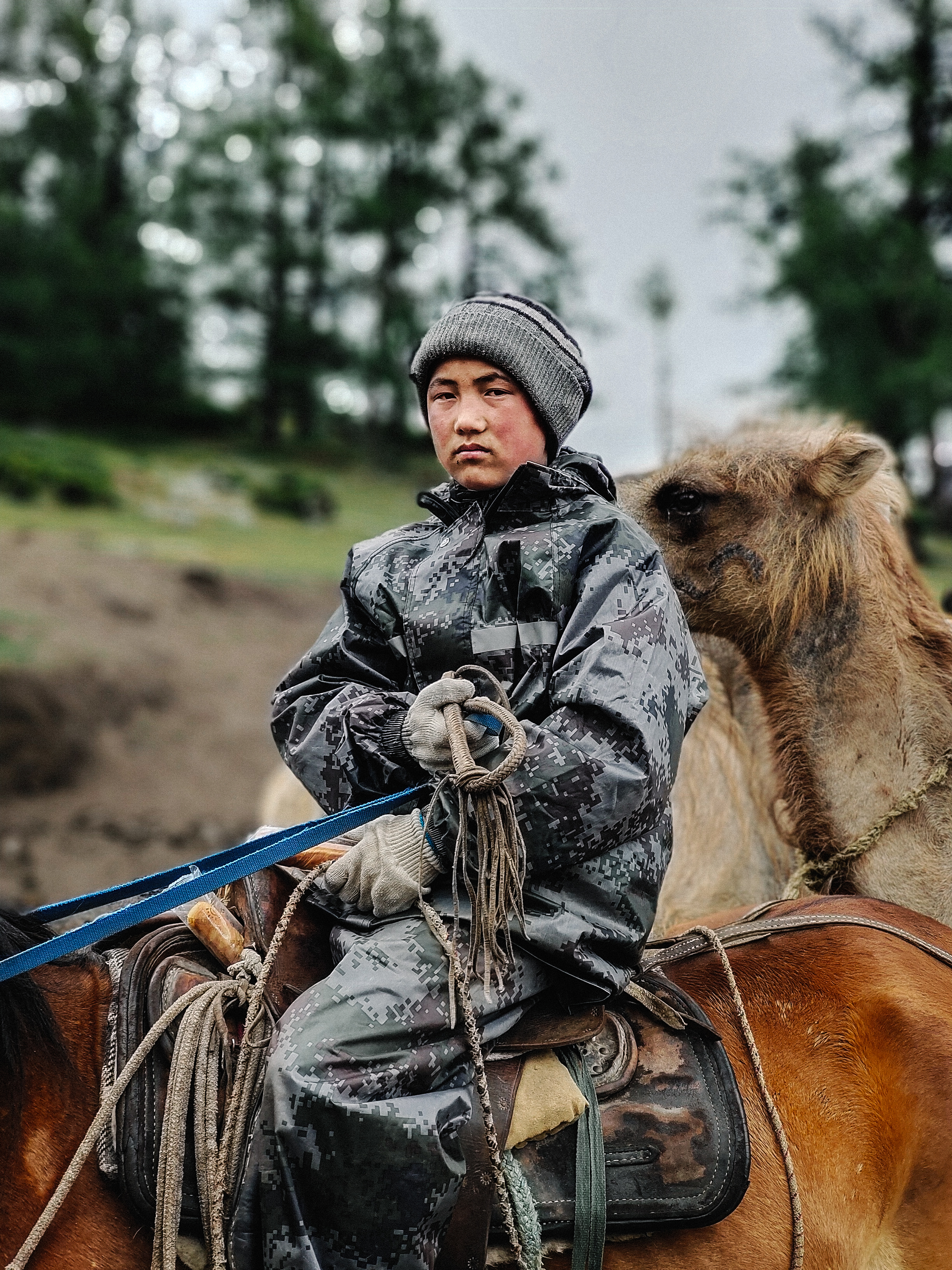 vivo2022摄影大赛,全国vivo手机摄影大赛