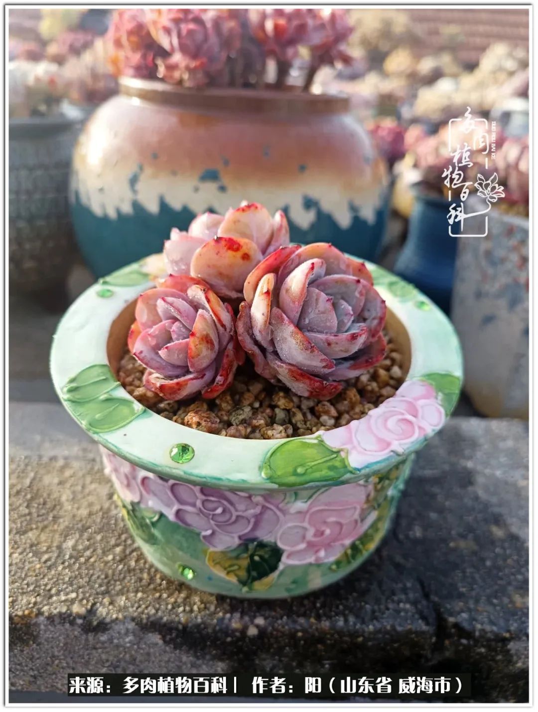 浜洪棿鐑熺伀鑷湁涓囧崈棰滆壊,浜洪棿鐑熺伀鐨嗘槸骞冲嚒棰滆壊