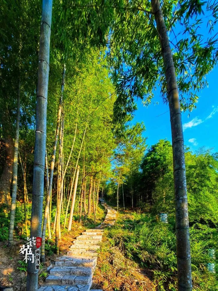 月游闽侯│七月-塘里洋里春园鲤,沉浸闽侯清凉里!