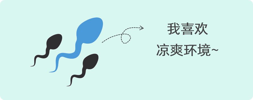 裸睡需要脱掉裤衩吗,裸睡的时候要穿内裤吗