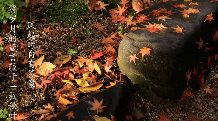 立秋了适合发朋友圈的文案加图片,立秋海报文案励志语句大全