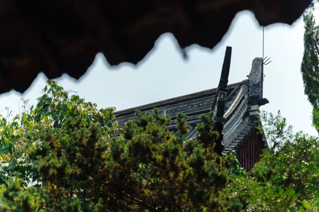 520年一遇，2022上海最浪漫打卡地出炉