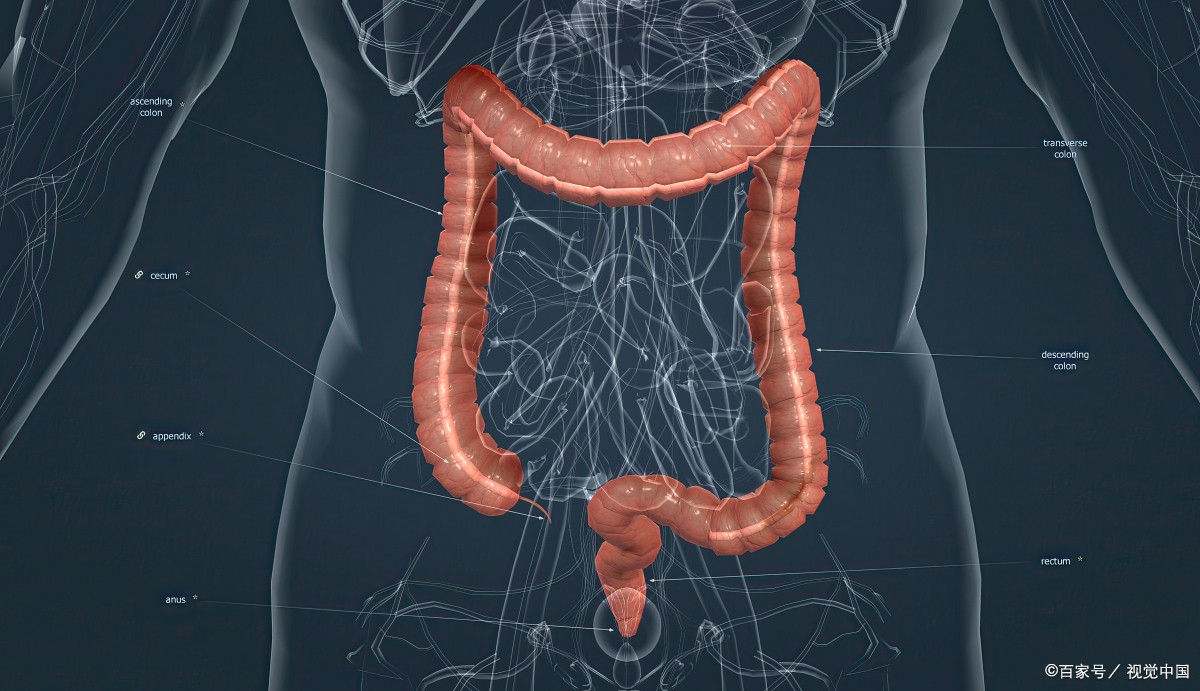 吃了烧烤就拉肚子便血,吃烧烤后拉肚子便血