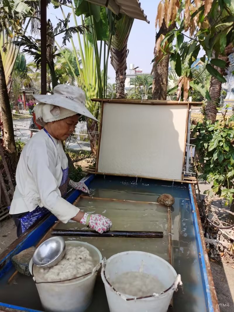 退休随记：滇西南行——非主流之景