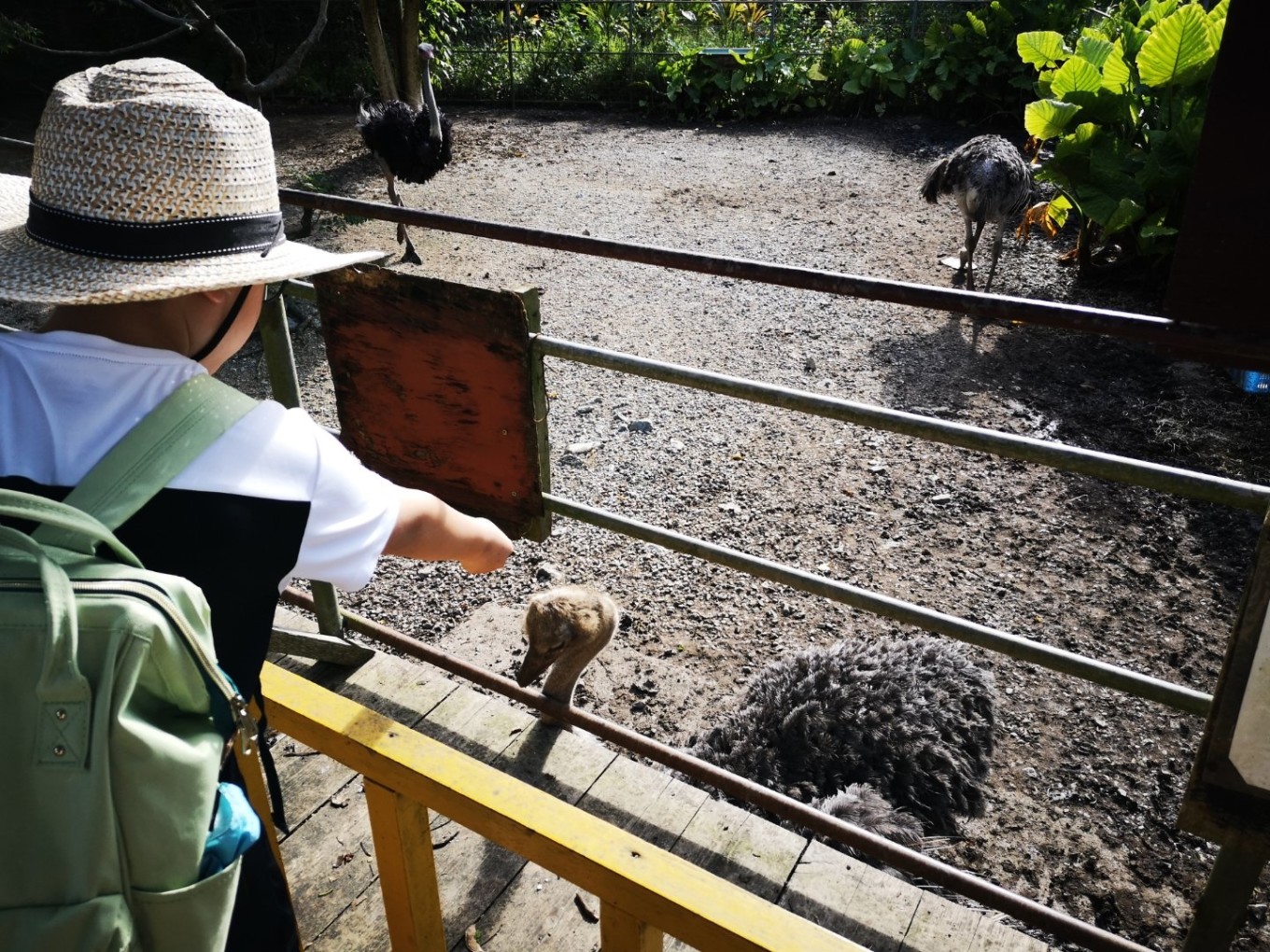 暑期档2019年,2019年暑期档