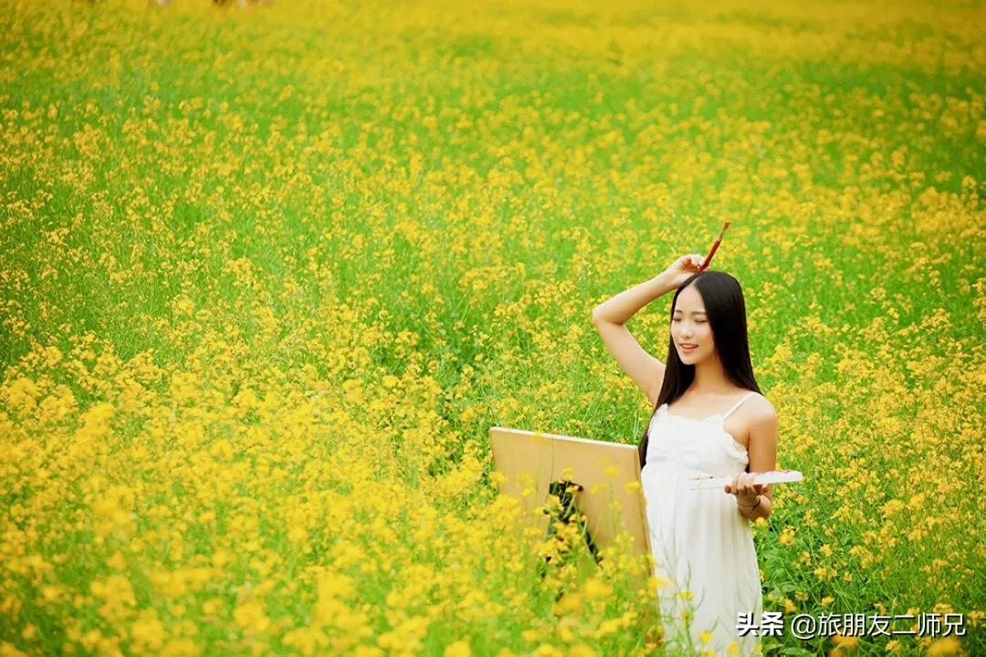 广州花都梯田油菜花,广州徒步赏油菜花路线