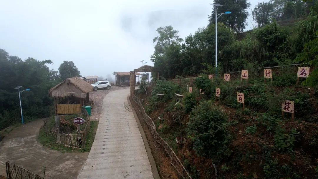 绿春乡村振兴,绿春乡村振兴工作