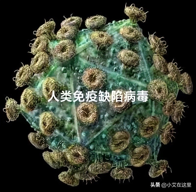 梅毒和艾滋病哪个更可怕,梅毒与艾滋病谁更可怕