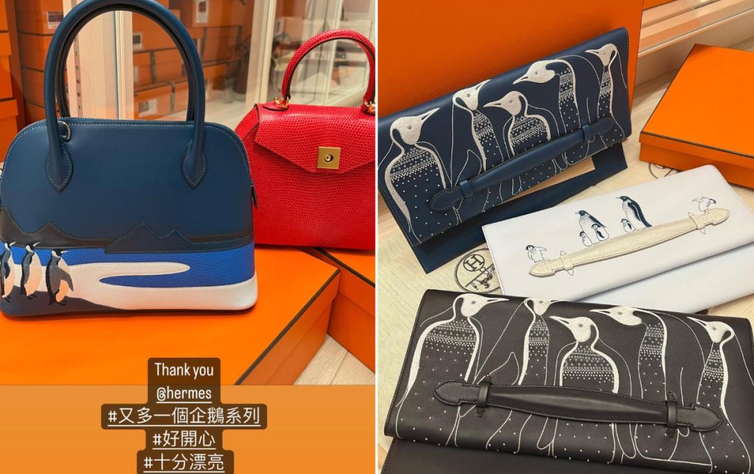 贵妇鄙视链,贵妇炫耀爱马仕包