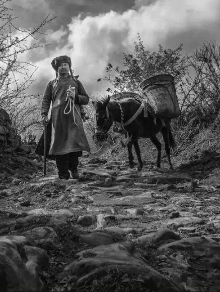 茶马古道文化研究最权威的人,茶马古道对于民族融合的影响