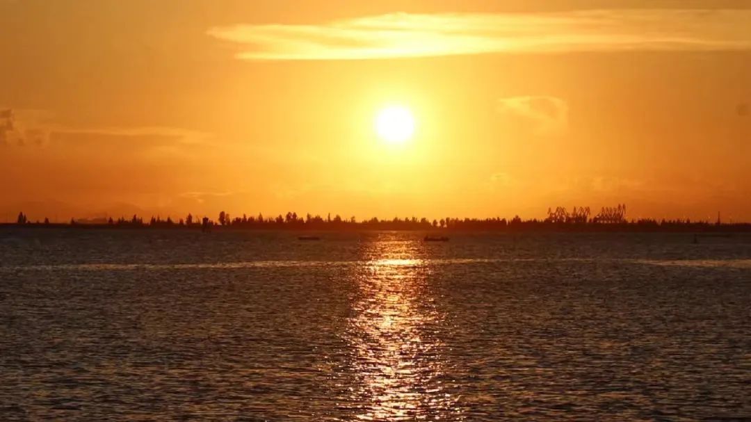 回到小县城朝九晚五,回到朝九晚五的心情说说