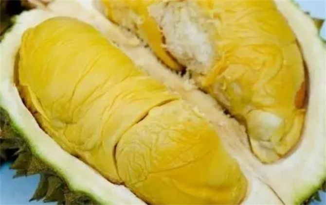 怎么判断榴莲肉是否坏了,如何判断榴莲肉好坏