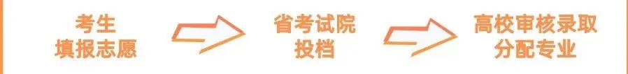 山东艺术类录取投档,艺术类本科b段平行志愿投档