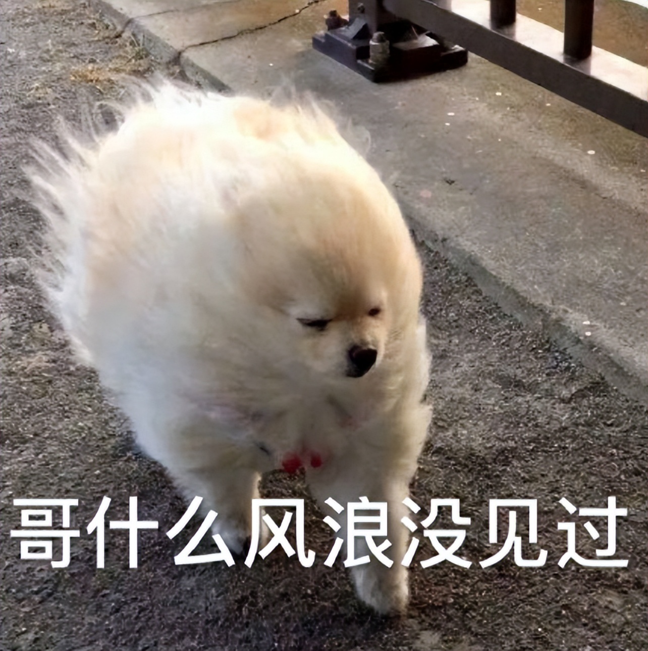 耐克阿迪达斯比赛用球,耐克的字母足球