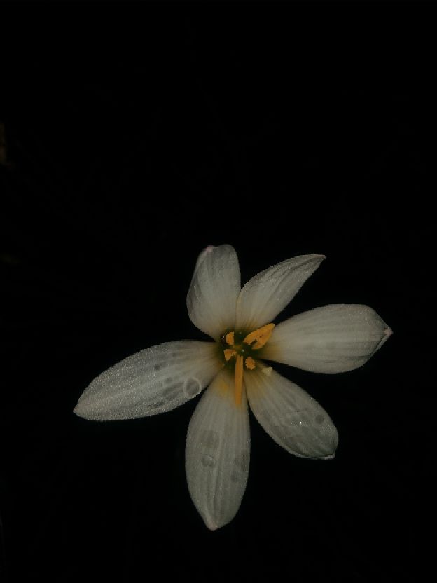 关于灾难夺走生命的感悟,经过意外灾难后的感言