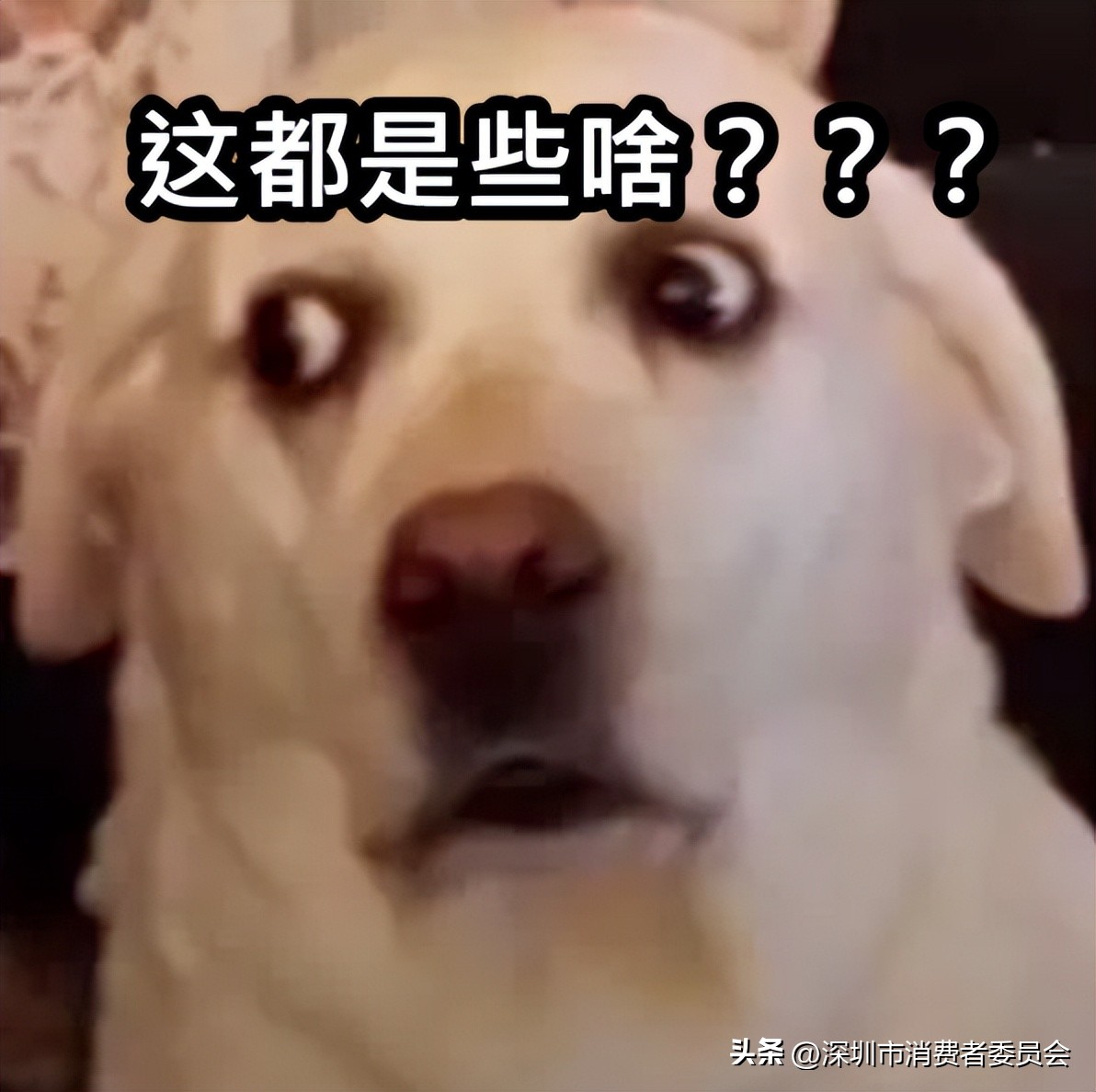 快充闪充什么区别,快充闪充一字之差却是千差万别