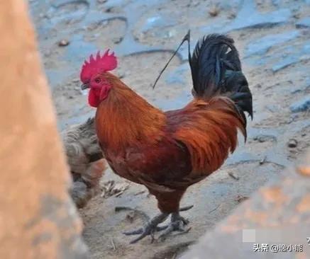 高考出现问题给谁打电话投诉,高考期间太吵举报电话